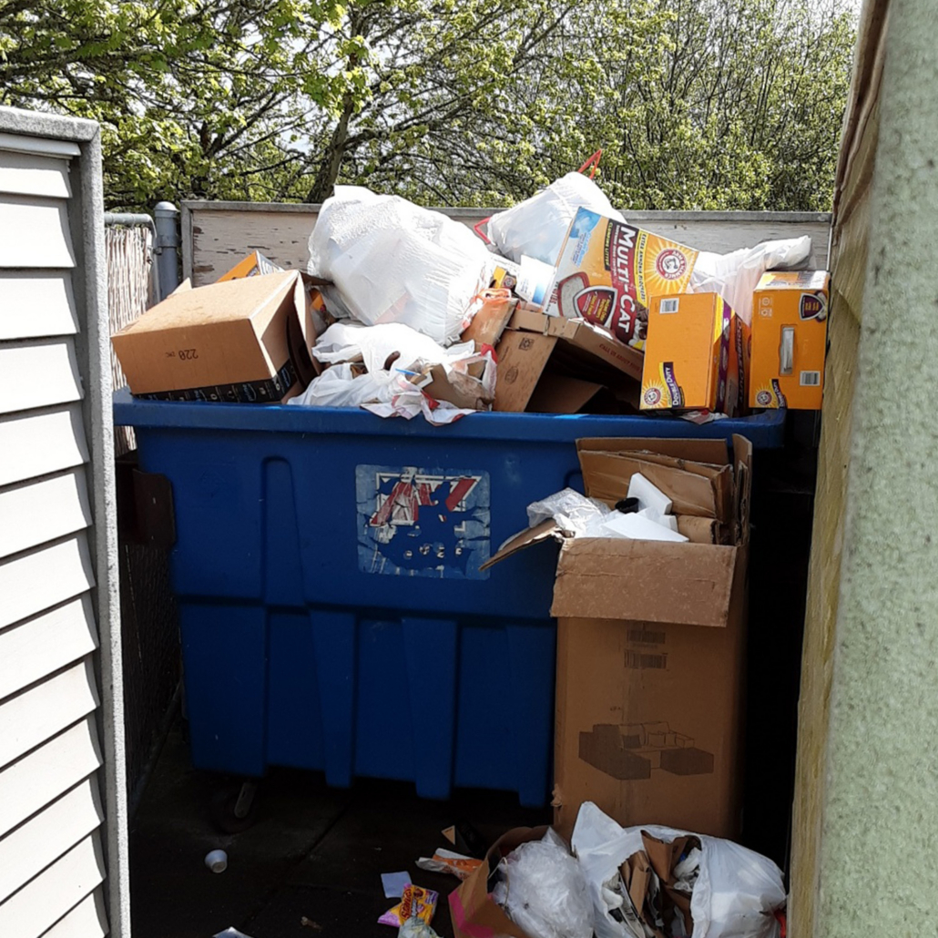 Waste Management Before